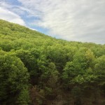 IMG_1785